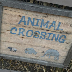 Trapped out the Bubble