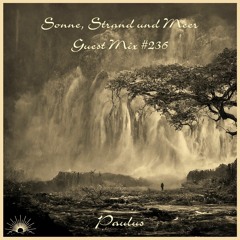 Sonne, Strand und Meer Guest Mix #236 by Paulus (Vinyl Only)