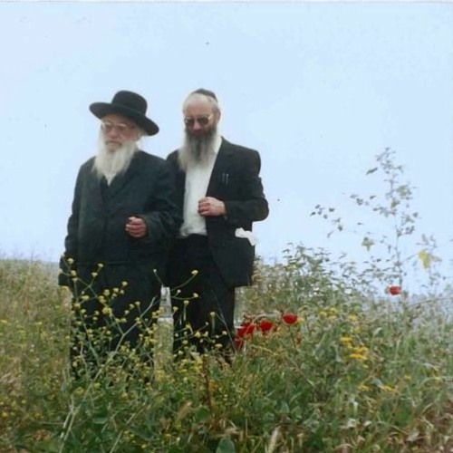 תמיד איתי גרסא עברית