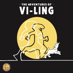 DÖMD 2025 - VI-Ling