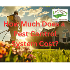 Quincy Homeowner's Guide to Pest Control Costs