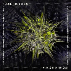 5. Vast Zero (260 BPM) By Plena Triticum & ZigzaX -  EP Ultrasonic Nondestructive İnspection