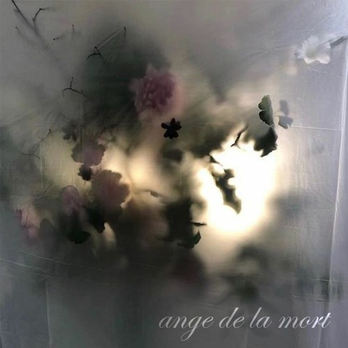 편광 memory w/vlueo (prod 9lives)