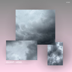 Avant