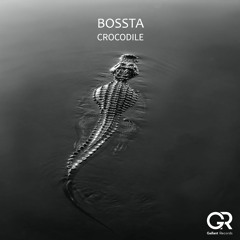 BOSSTA - CROCODILE (Original Mix)