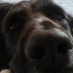 Aano Ehrn - Restless Soul (Live)