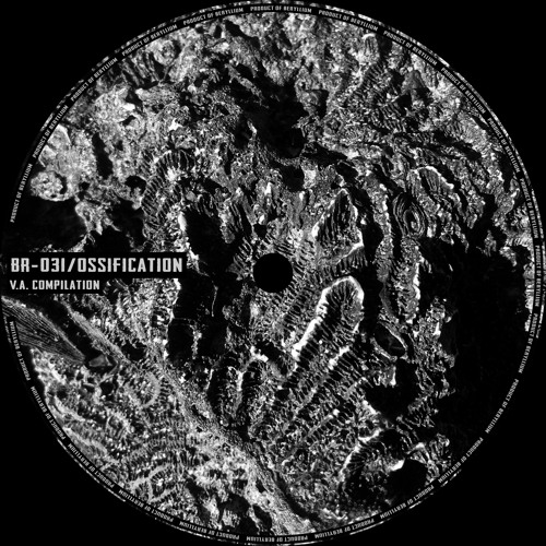 [BR-031] B.Lindenleg - Urge