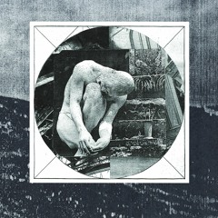 Harness - Encased In Marble / Wrapped In Roots CD (Excerpts)