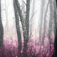 "Lost in Reverie" Mix