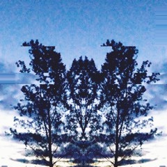 Fuck You Liar (feat. Orbitt) [Remix] (prod. Delixe)