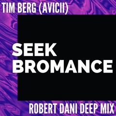 Tim Berg - Seek Bromance (Robert Dani Deep Mix)