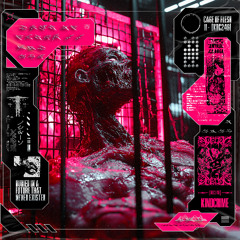 PREMIERE :: Downwell - Watch Dog Violation [Kindcrime]