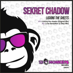 Sekret Chadow - Love Sensation (2Step Mix)