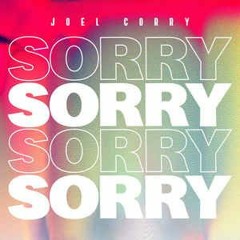 Joel Corry - S.O.R.R.Y ( Edu Rodrigues Remix) Preview