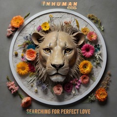 Searching For Perfect Love