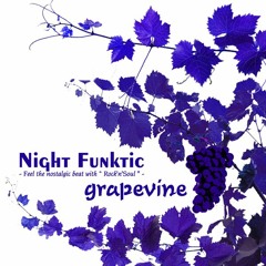 Grapevine 45sec. edited ver. by NIGHT FUNKtic