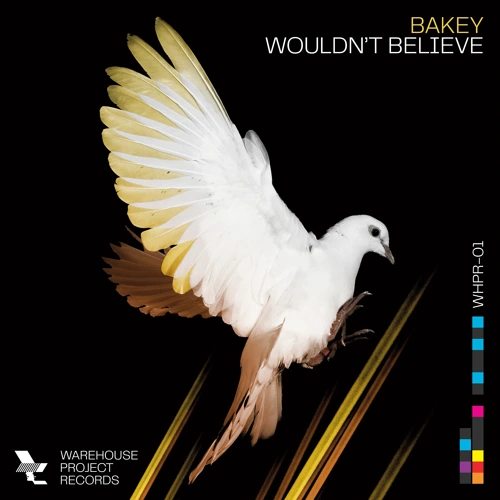 Artwork for the song Bakey - Wouldn't Believe [Master] by Bakey on Next Sound