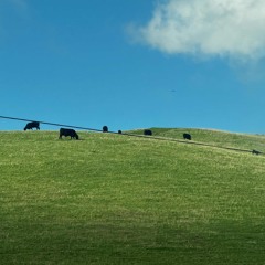 never forget them prod.backyard