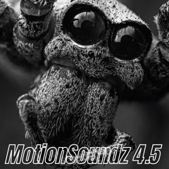 Motion Soundz Vol. 4.5
