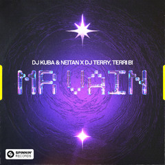 DJ Kuba & Neitan x DJ Terry, Terri B! - Mr. Vain (Extended Mix)