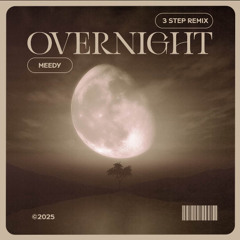 Overnight (Meedy 3-Step Remix)
