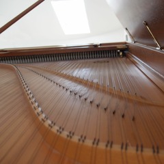 J. S. Bach - BWV 1079 - Canon a 2 Quaerendo invenietis