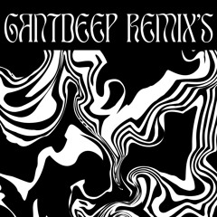 GANTDEEP REMIX'S