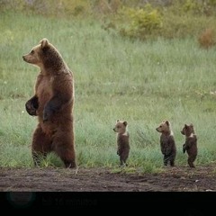 MC RF - QUANDO NÃO TA DE LACOSTE  NOS TA DE PHILLIPP PLEIN [ DJ JR ] CASTELAR TROPA DO URSO 🐻