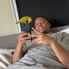 Bokke8 x Bastosz