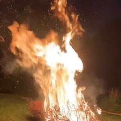 Wildfire (Acoustic)