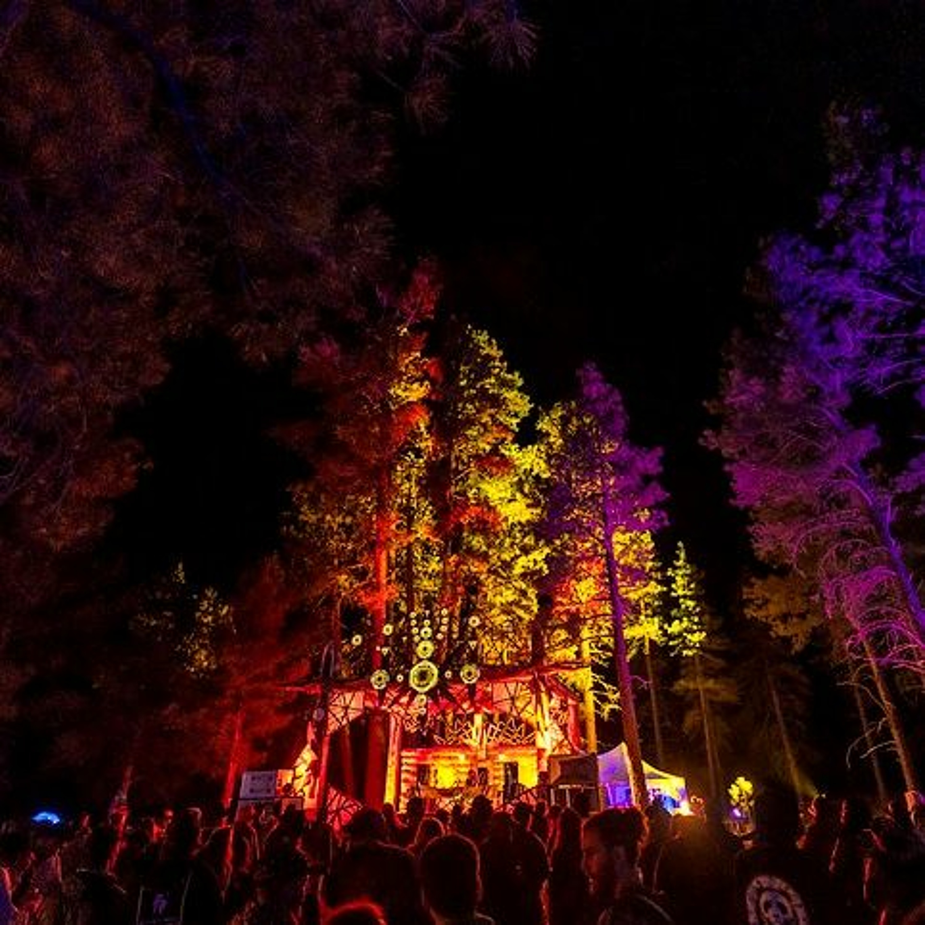 dela Moon (Moontribe Collective)