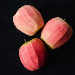 thankksgiving prep break - 11_26_25, 11.46 PM