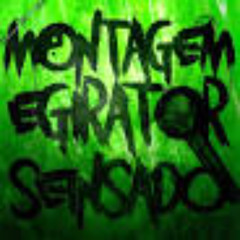 MONTAGEM ERIGATOR SEINSADO (SPEED UP)
