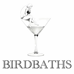 birdbaths - feelings for you