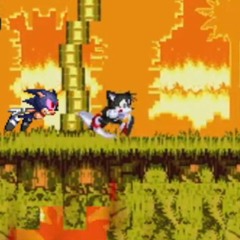 Sonic Limited Edition: Season 1 - Hide and Seek