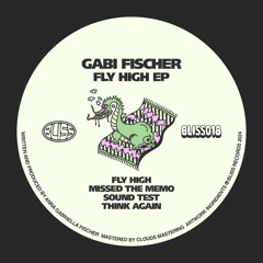 PREMIERE: Gabi Fischer - Missed The Memo [BLISS018]