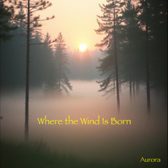 Where the Wind Is Born (Aurora)