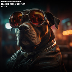 Westly & Classic Tom - Movin (angry dog records)
