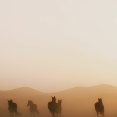 DJ CABALLO - HIGH LEVEL