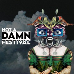 Podcast #8 - Not A DAMN Festival !