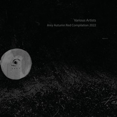 Vlad Iona - Taurine & Tambourine (VENAO Remix) [AREY]