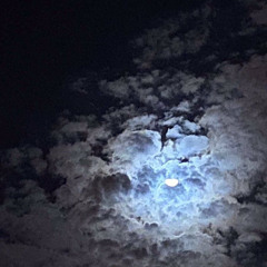 وَيْلٌ لِكُلِّ أَفَّاكٍ أَثِيمٍ