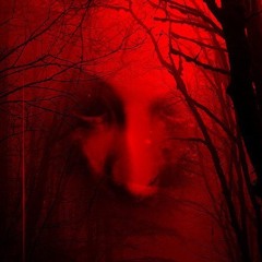 N.O.S. ( Der Nacht ) preview