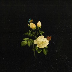 if - rivermaya - quarantine cover