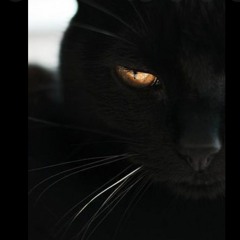 10.10.22 (Full Moon)