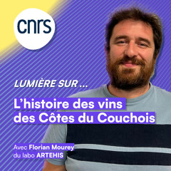 Lumière sur... L'histoire des vins des Côtes du Couchois