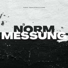 Normmessung (prod. yung knochenleitung)