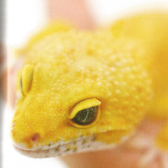 Premiere: Will Silver '5000 Years A Lover'