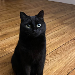 Sick Day 🤒🤧 [Prod. JDolla]