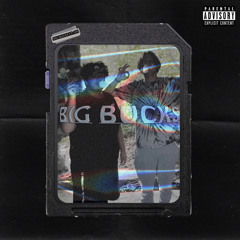 BIG BUCKS—DK x BLAKE $TONE